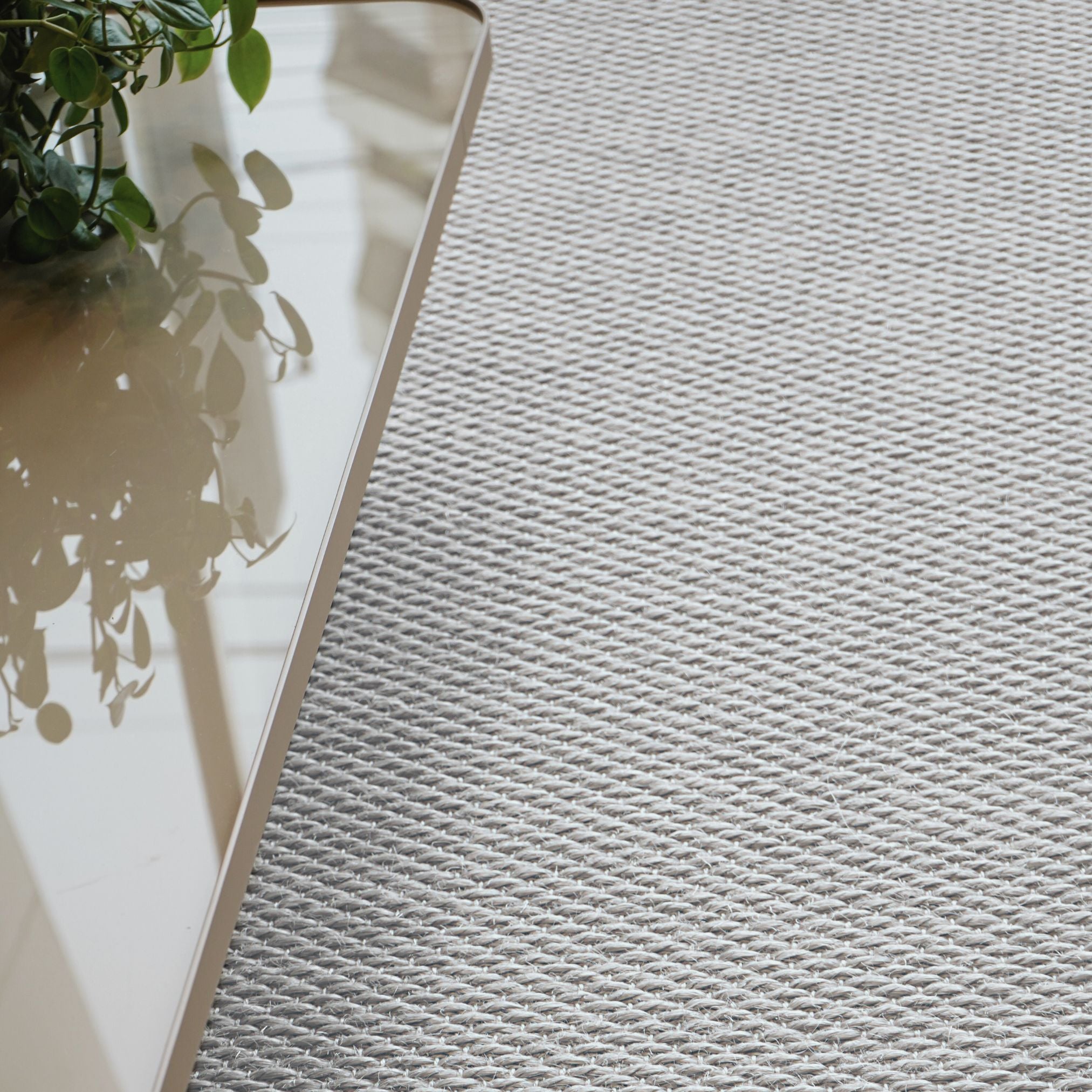 Cora Natural Fiber Rug