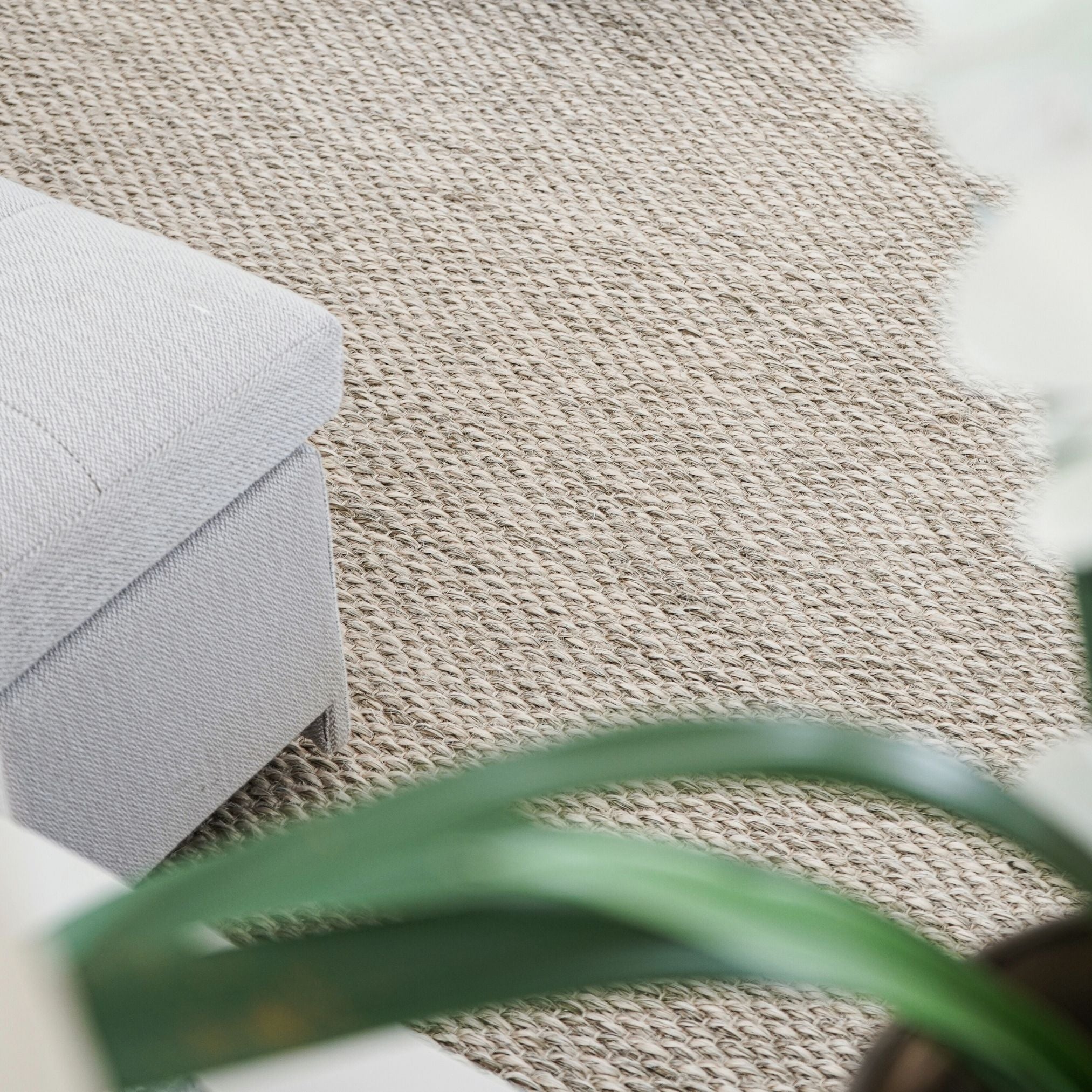 Cora Natural Fiber Rug
